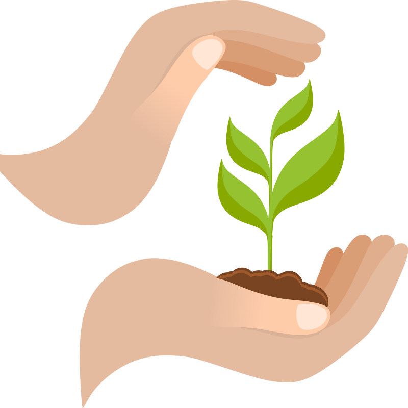plantas seleccionada con manos 