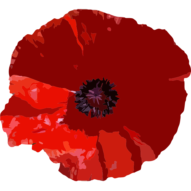 amapola gráfica 